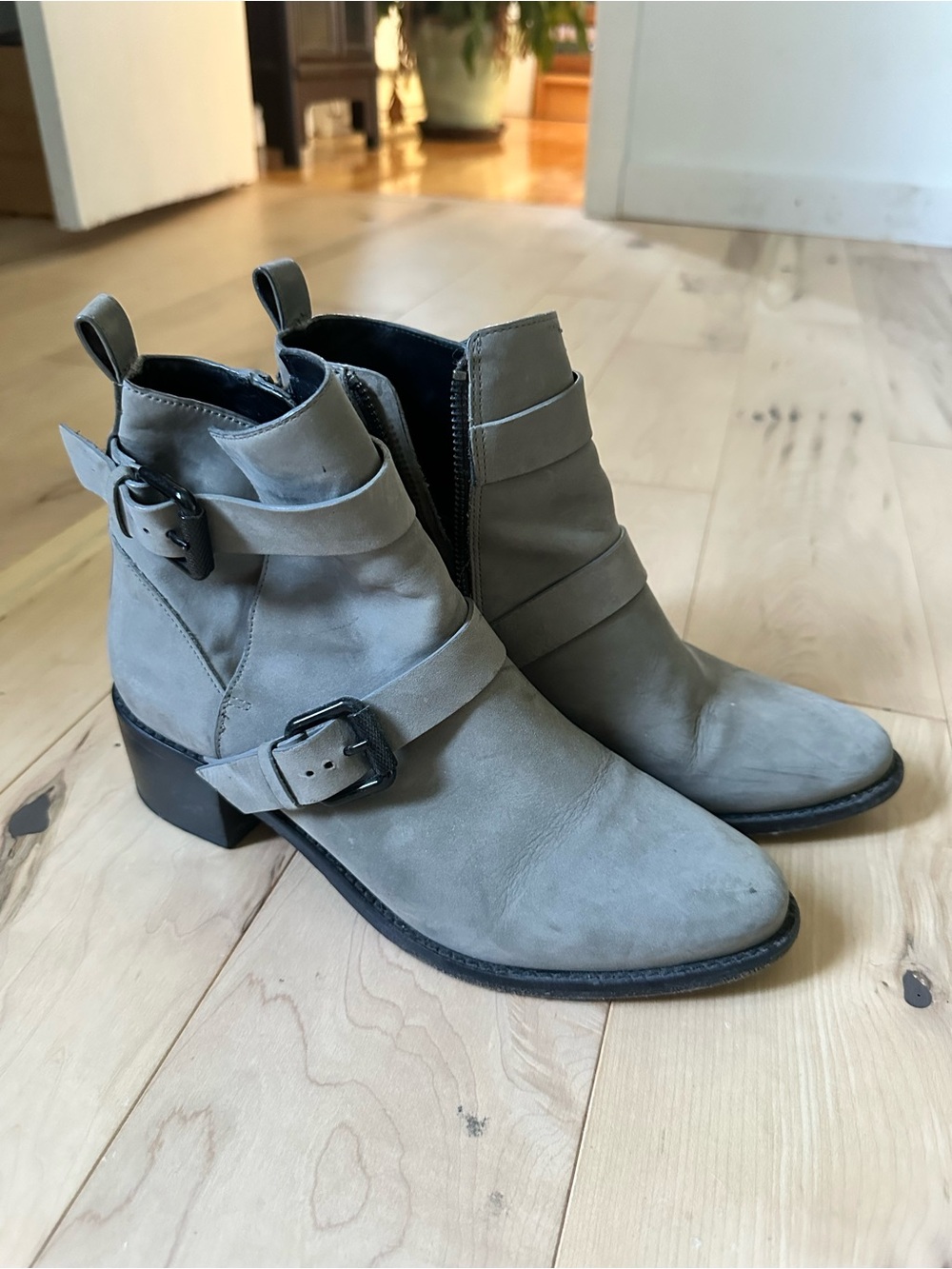 All Saints Gray Suede Buckle Ankle Boots